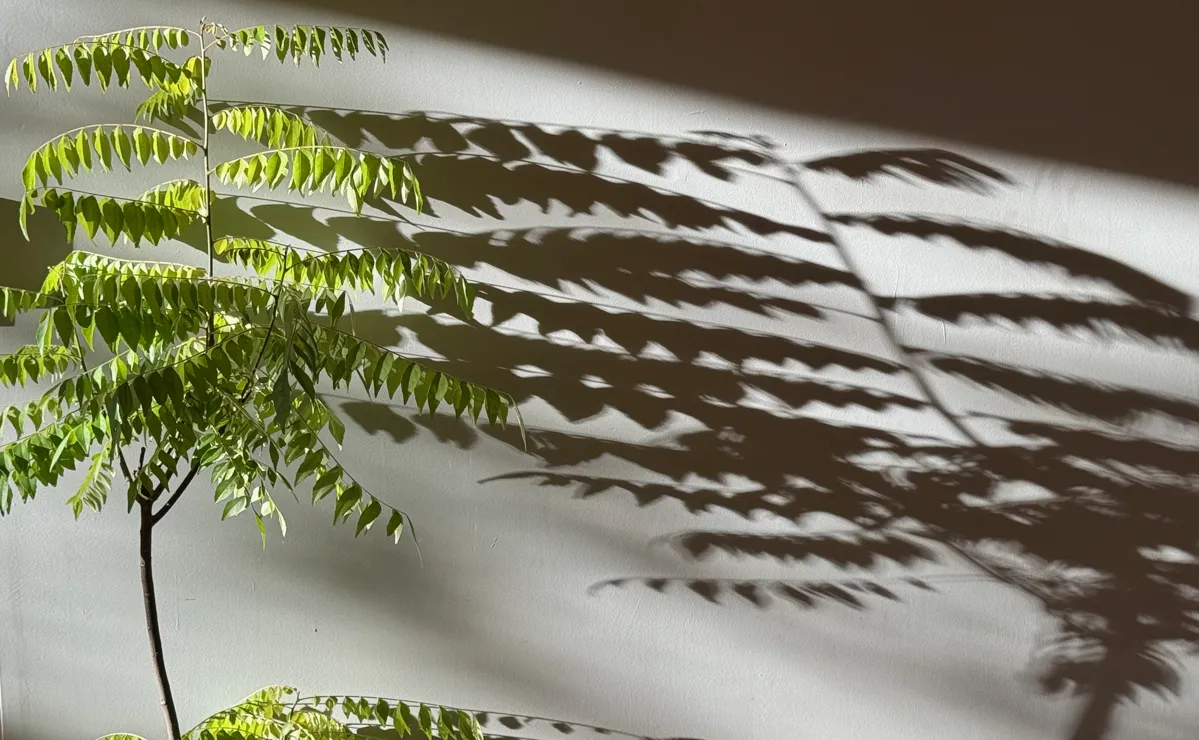 Create Solutions & Class Diagrams with SolutionUtil (slnutil)