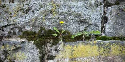 GitHub Projects, Part 3: Create a Product Backlog