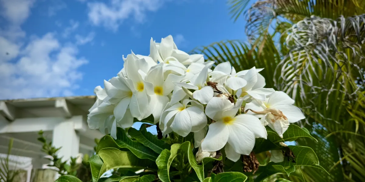 Extra Slash in Uri Causes BlockBlobRestClient Upload Failure: InvalidQueryParameterValue