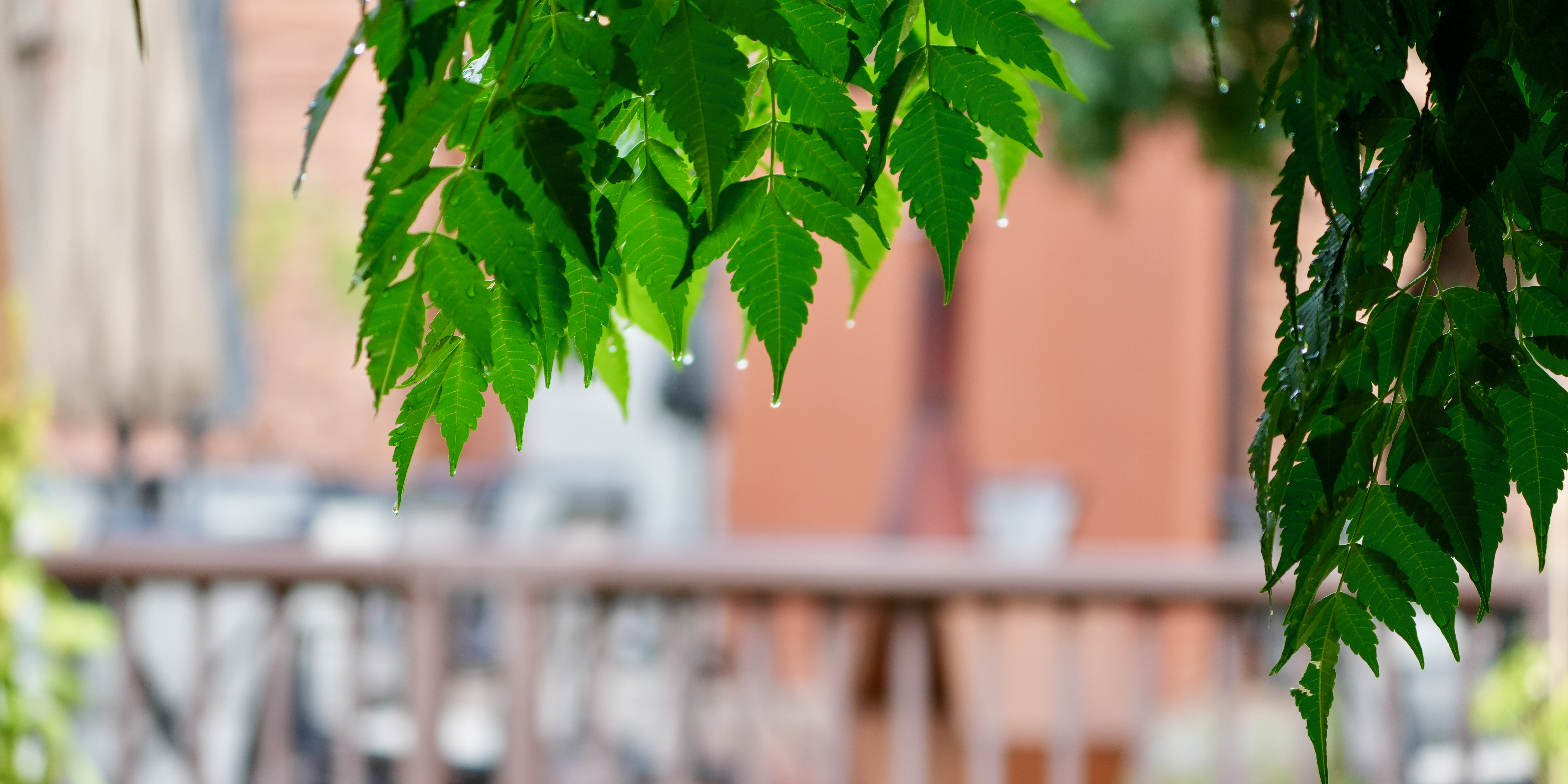 How to Configure Backlog Levels and State Categories in Your Custom Azure DevOps Process Template