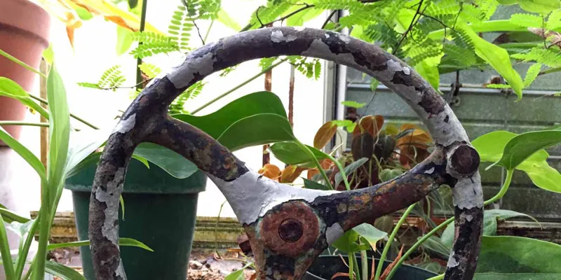 AI: The Most Powerful Extractive Tool Ever Built