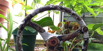 AI: The Most Powerful Extractive Tool Ever Built