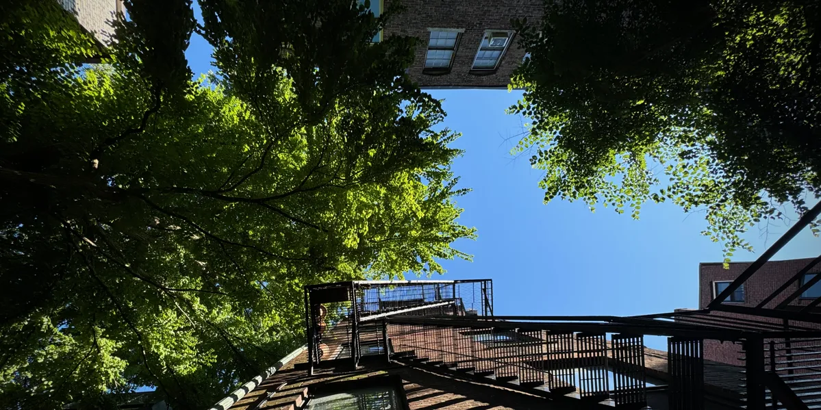 Agile-ish: Lightweight Project Management with GitHub Projects (VSLive Vegas 2026 Slides)