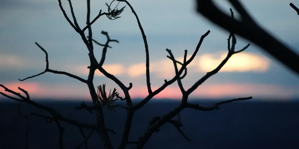 Branches That Don't Suck: Smarter Strategies for Modern Dev Teams (VSLive Vegas 2026 Slides)