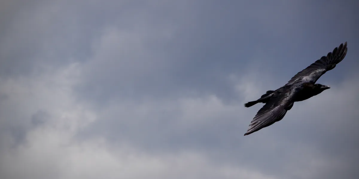 Coaching and Difficult Conversations (VSLive Vegas 2026 Workshop Slides)