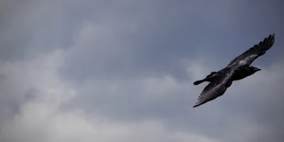 Coaching and Difficult Conversations (VSLive Vegas 2026 Workshop Slides)