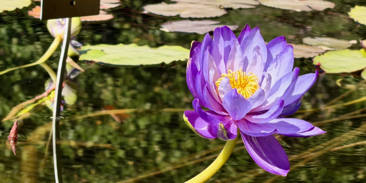 Why Does Everyone Suddenly Hate Agile? (VSLive Vegas 2026 Workshop Slides)