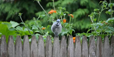 What Does GitHub Copilot Actually Cost? Premium Requests, Model Multipliers, and the Question Nobody's Asking