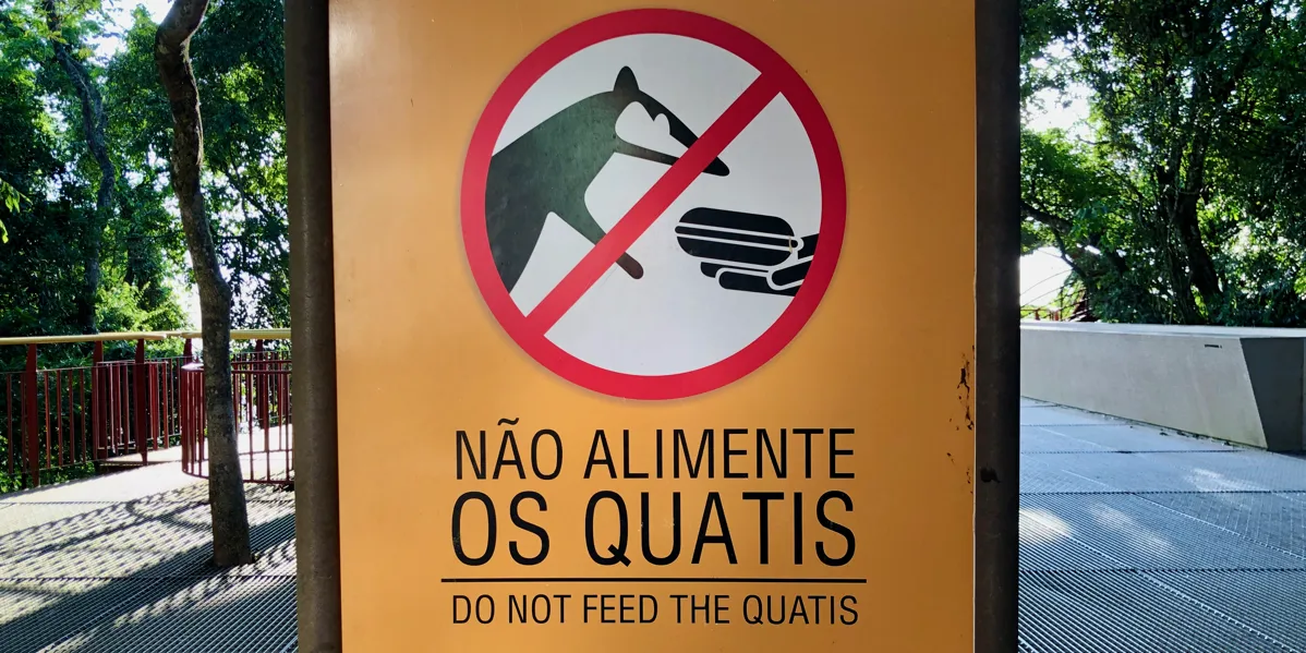 Cosmos DB Change Feed & Event Patterns