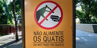 Cosmos DB Change Feed & Event Patterns