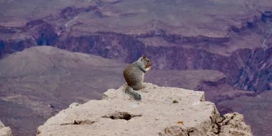 Making the Case: Loss Aversion, Tradeoffs, and the Right Tool for the Job